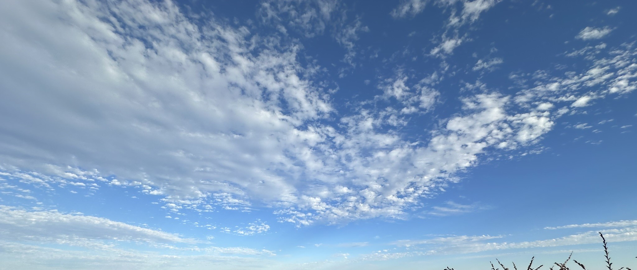 青空の背景画像